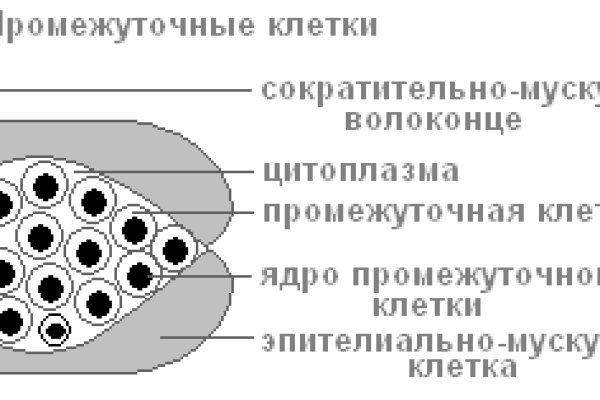 Kraken darknet это что такое