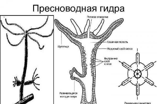 Kraken актуальная ссылка onion