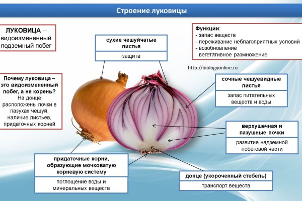 Правильная ссылка на кракен